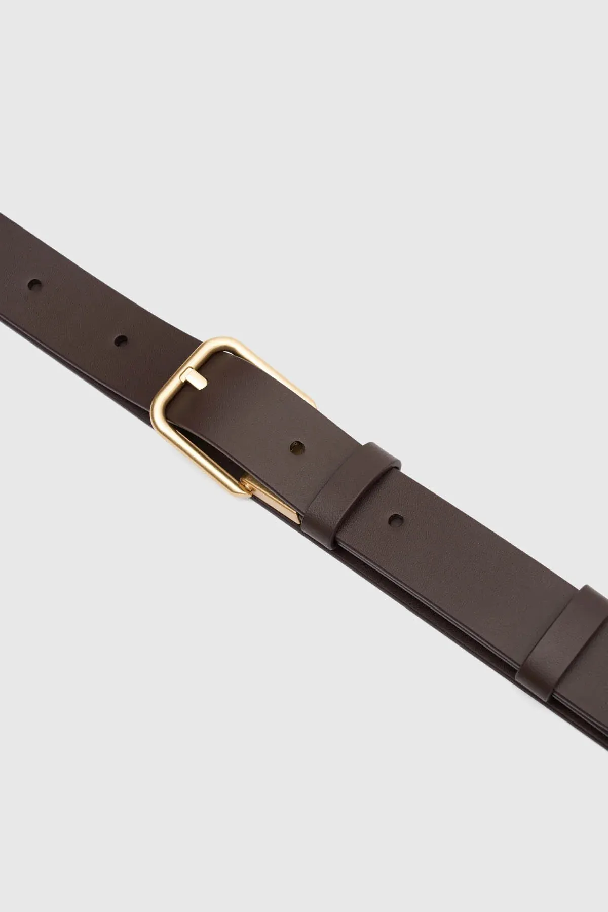 Camilla and Marc Etillie Belt in Chocolate