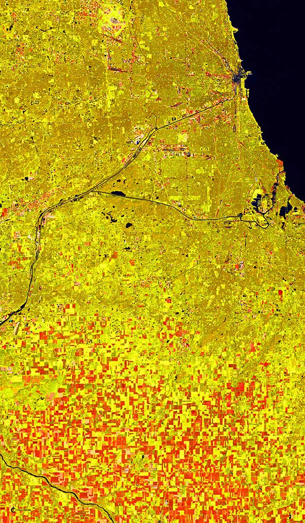 Chicago Gold Rectangular GGT Scarf